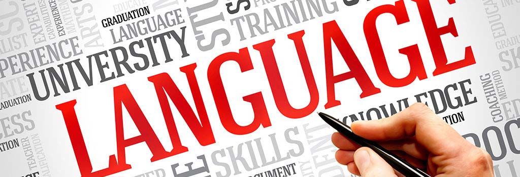 considering a person's language skills for work capacity