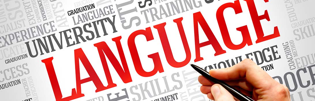 considering a person's language skills for work capacity