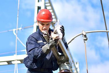 Construction Worker In Victoria, Australia