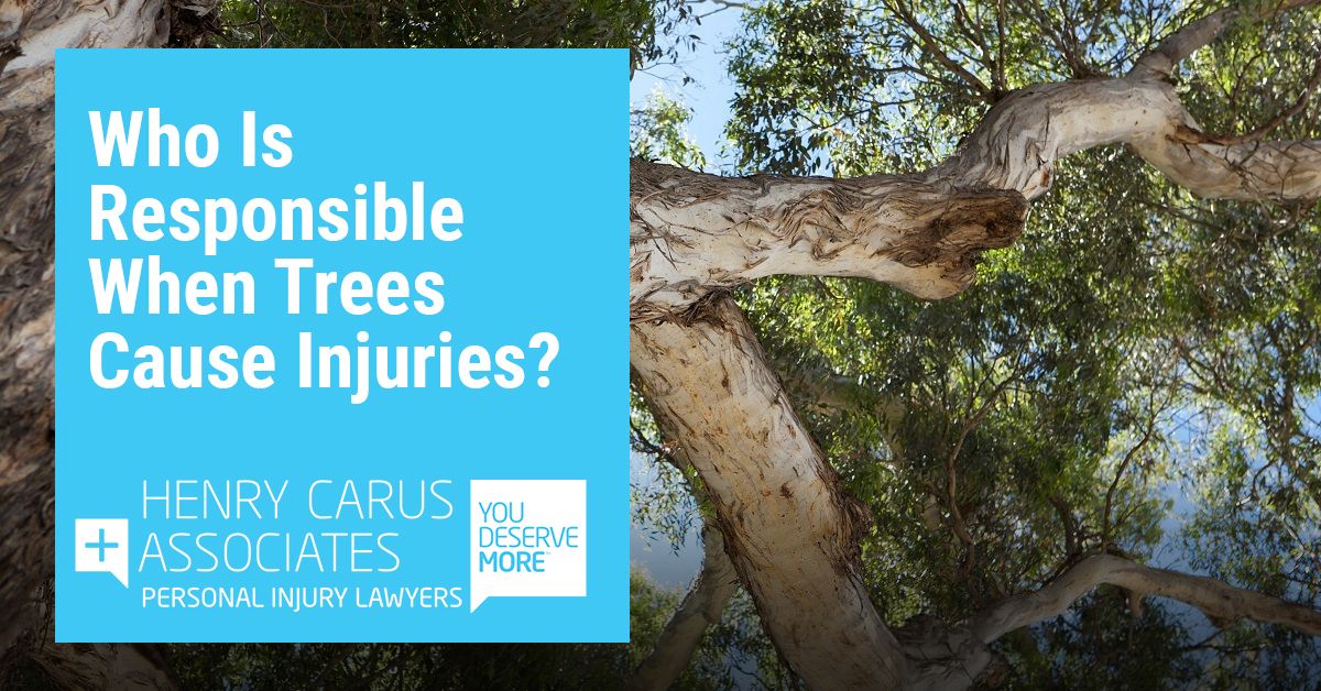 Who Is Liable for Injuries Caused by Fallen Trees & Branches?