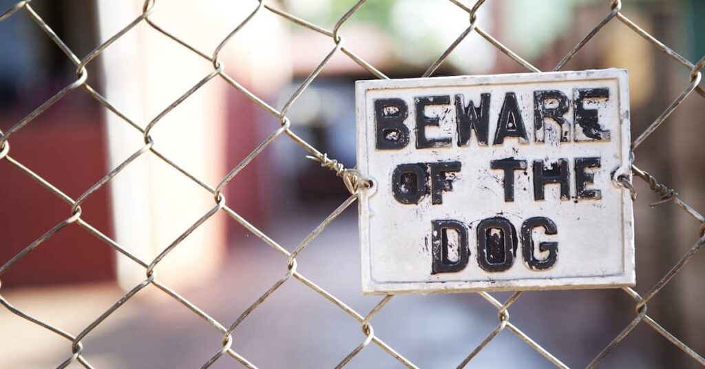 Warning sign on chainlink fence reading, 'Beware of the Dog' | Henry Carus + Associates